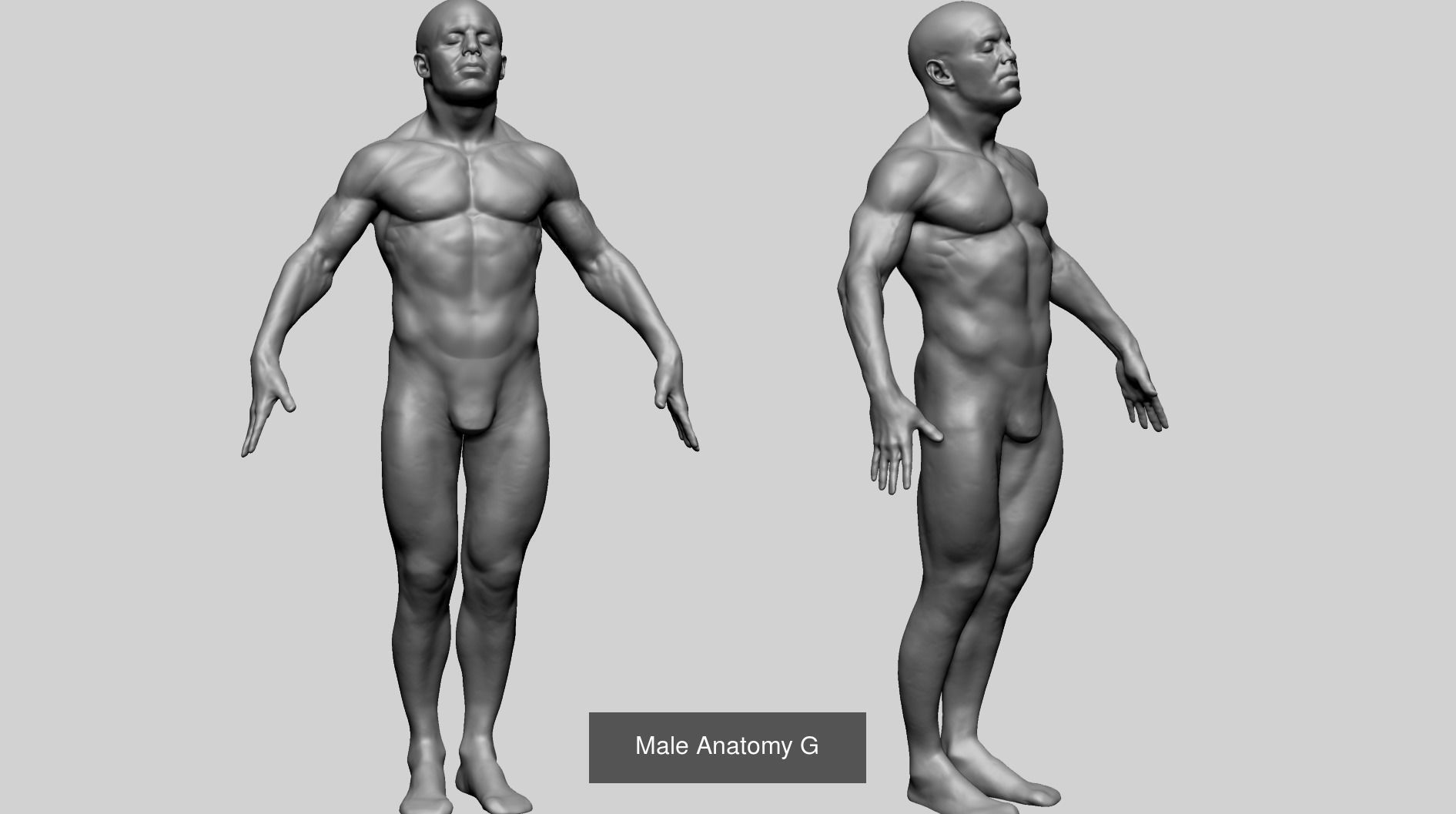 Superhero and Male Anatomy Models 3D Model Collection_2