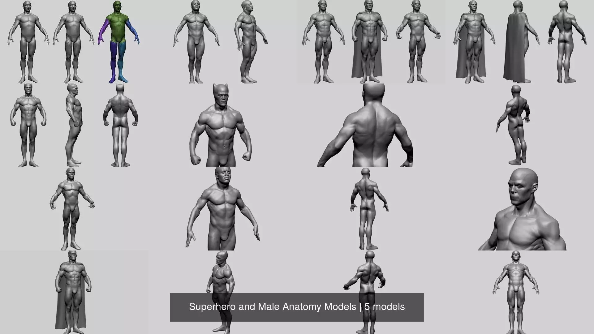 Superhero and Male Anatomy Models 3D Model Collection_0