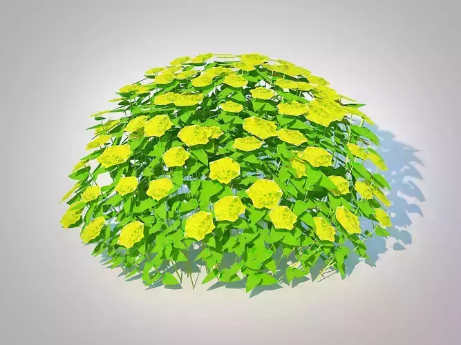 Plant  Euphorbia Bonfire - Bonfire Spurge   3D model