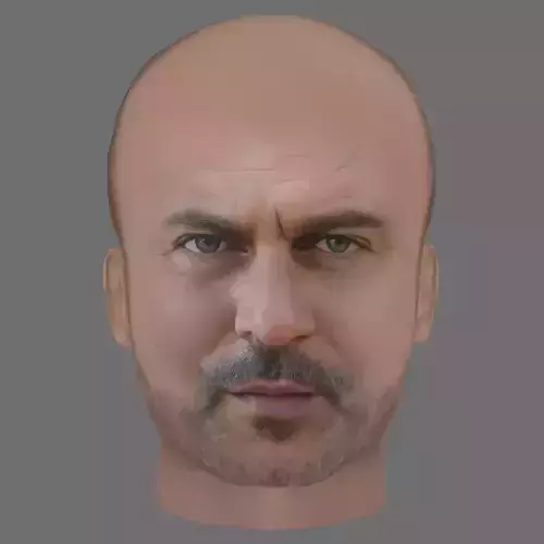 Lior Raz Head - Low poly head for game