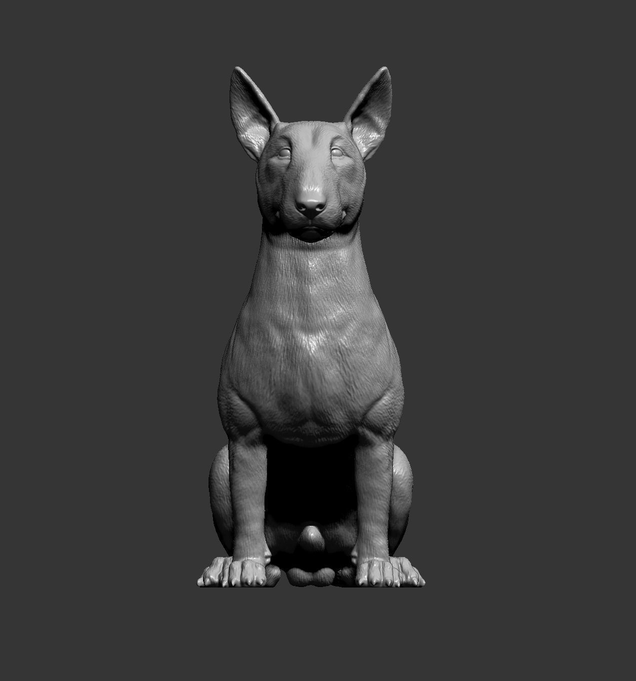 bull terrier sitting 3D print model_10