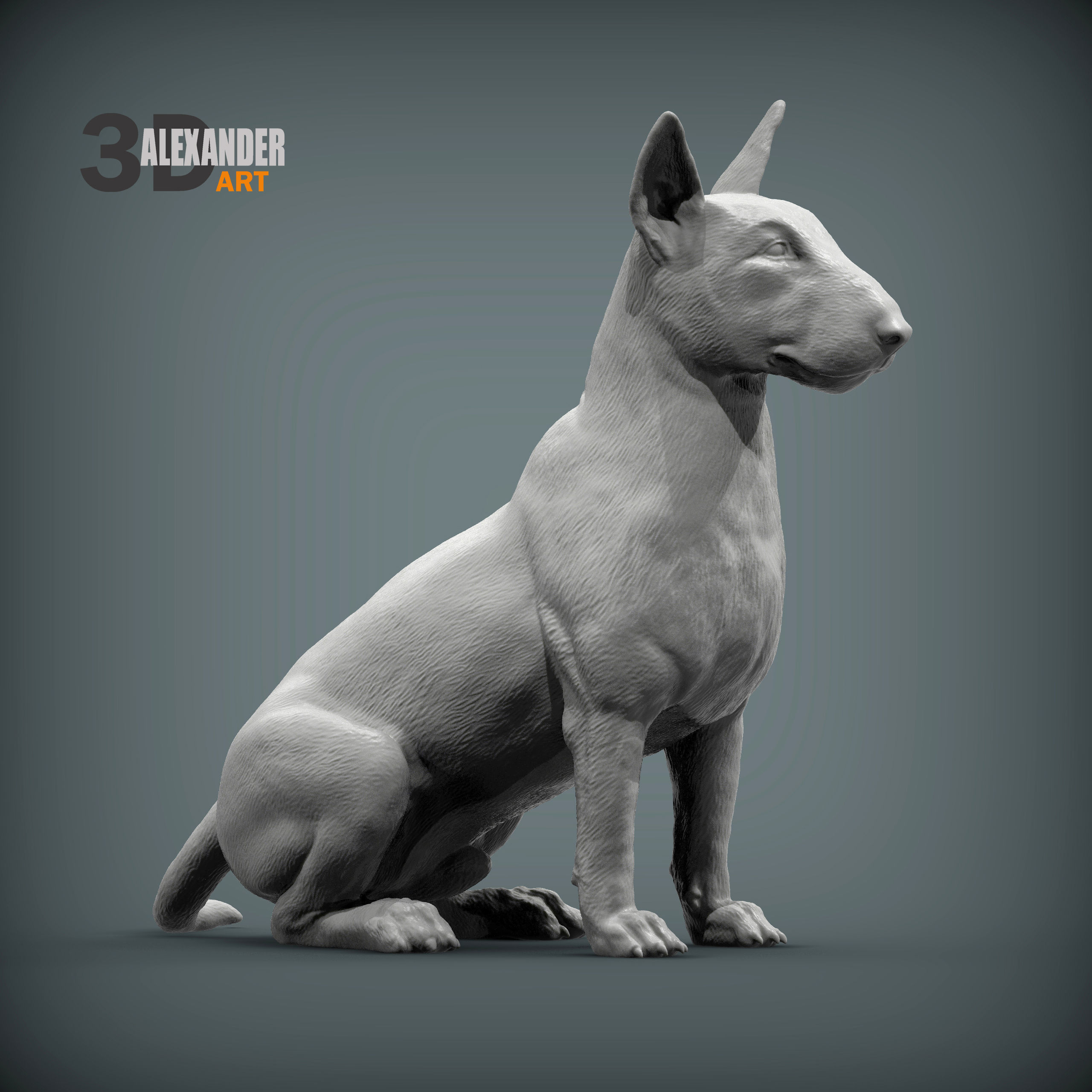 bull terrier sitting 3D print model_4