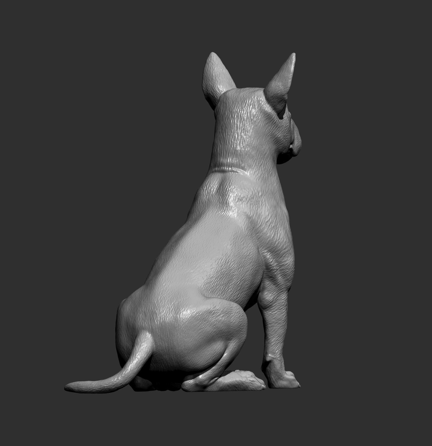 bull terrier sitting 3D print model_7