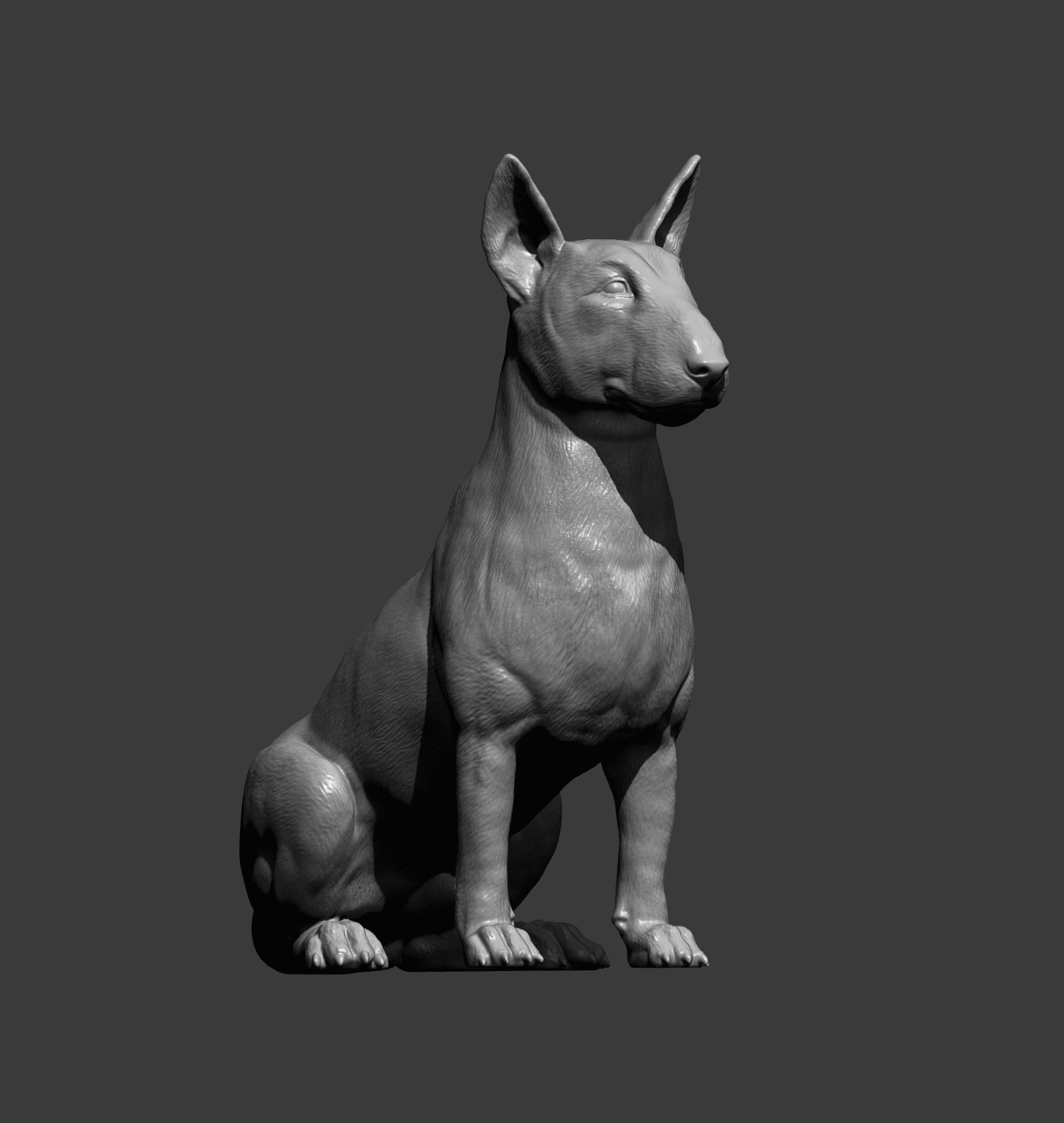 bull terrier sitting 3D print model_8
