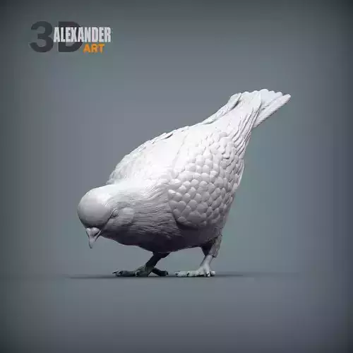 pigeon eats 3D print model