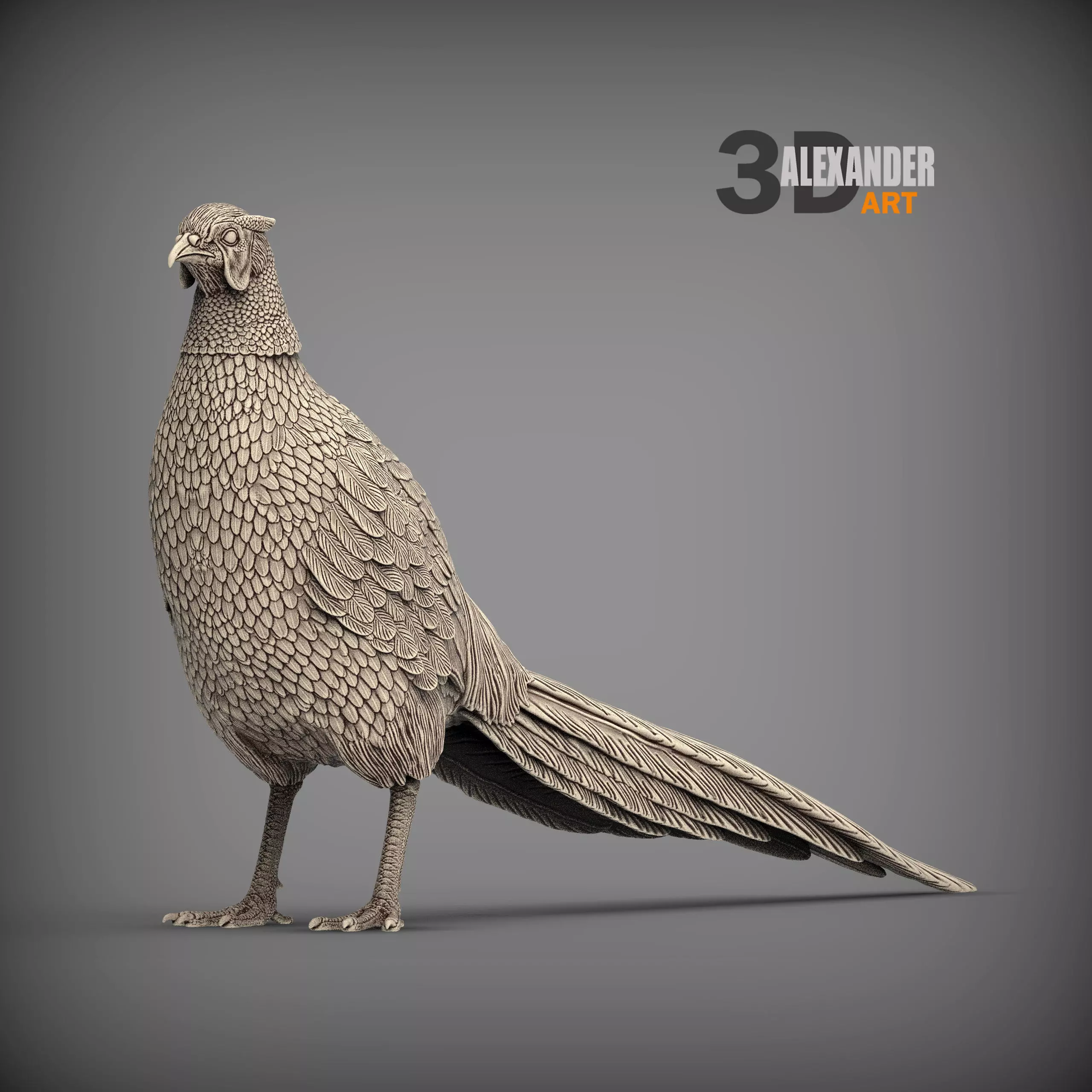 Pheasant 3D print model_0