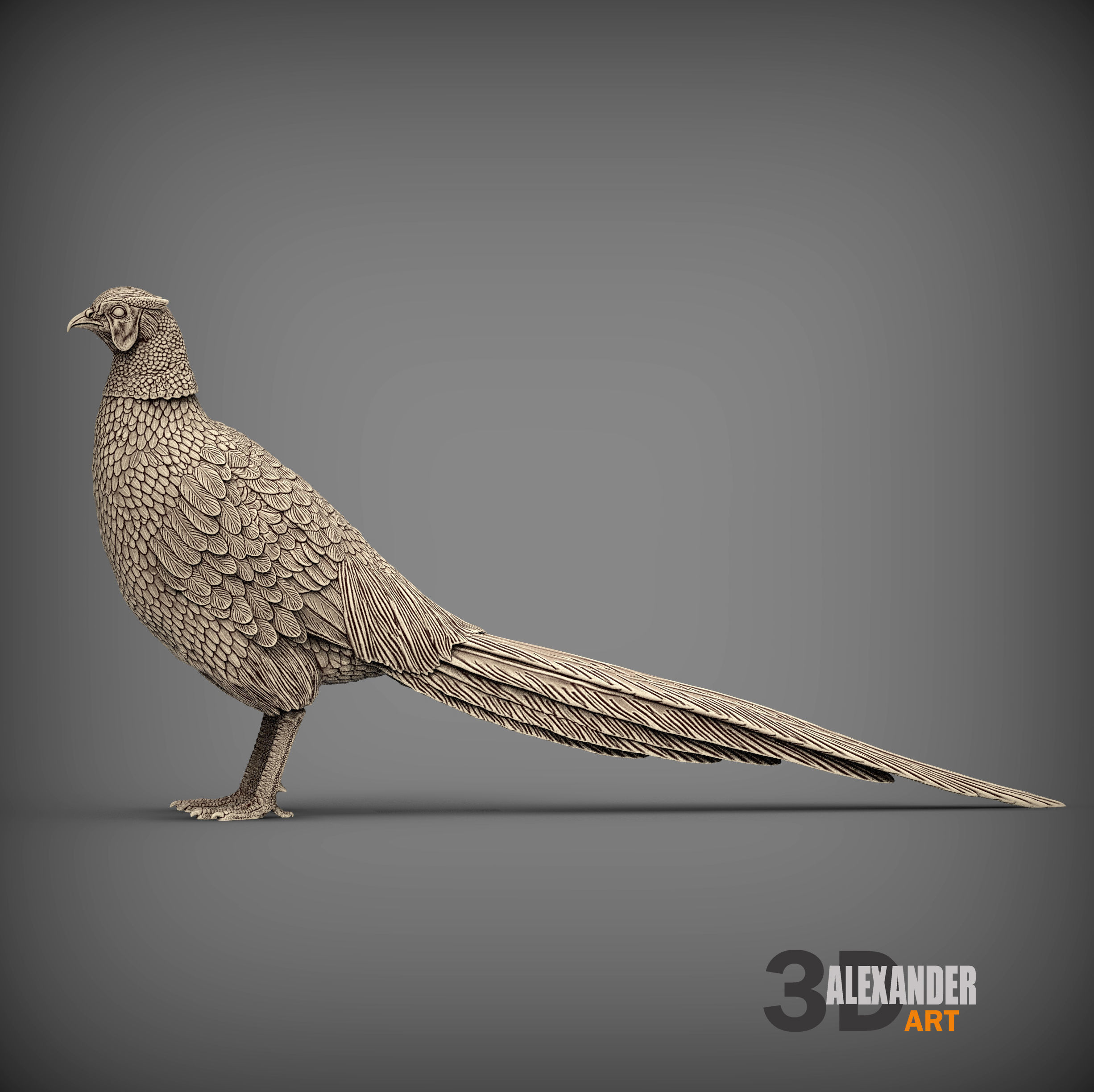 Pheasant 3D print model_1