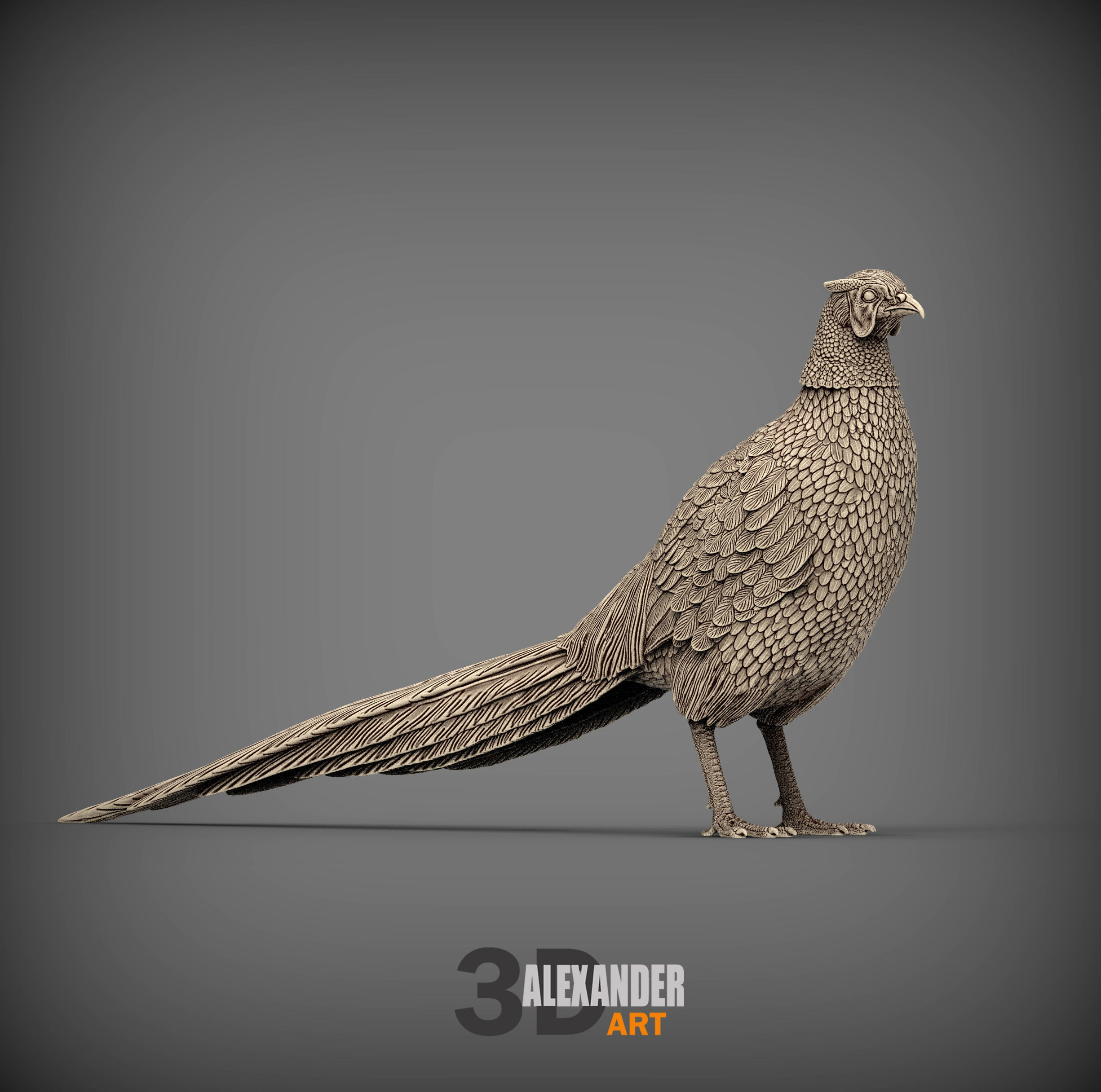 Pheasant 3D print model_5
