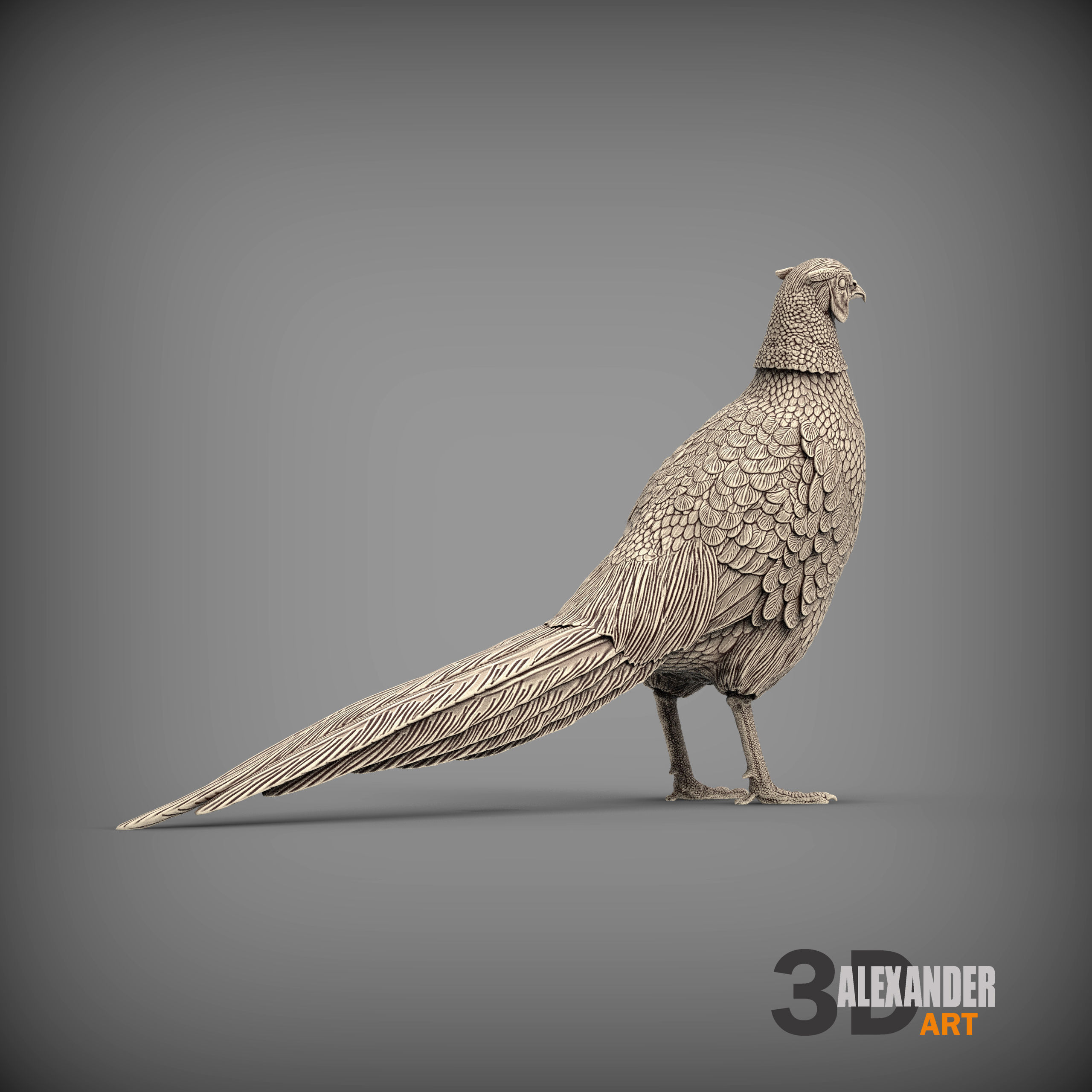 Pheasant 3D print model_4