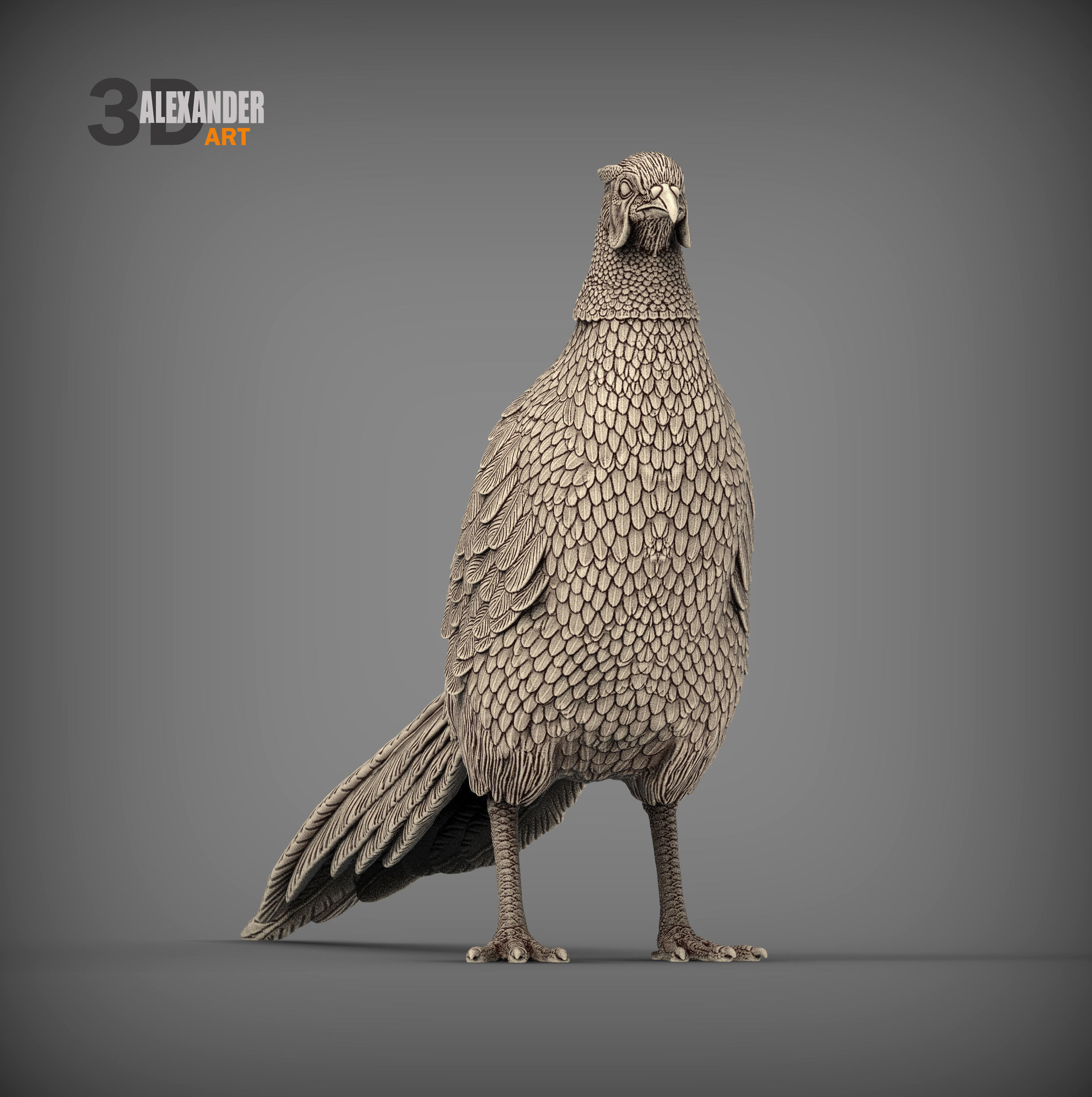 Pheasant 3D print model_3
