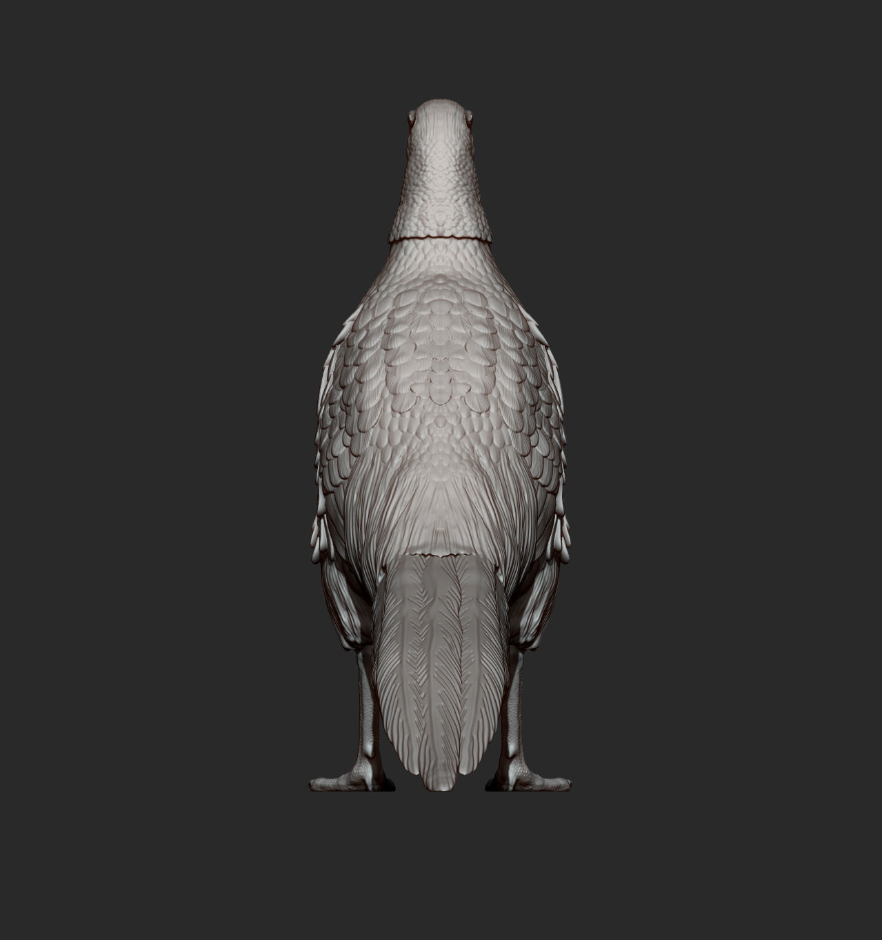 Pheasant 3D print model_6
