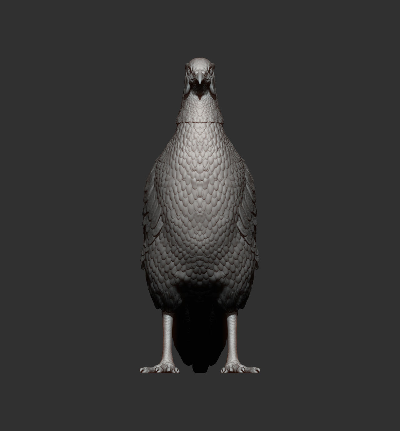 Pheasant 3D print model_8