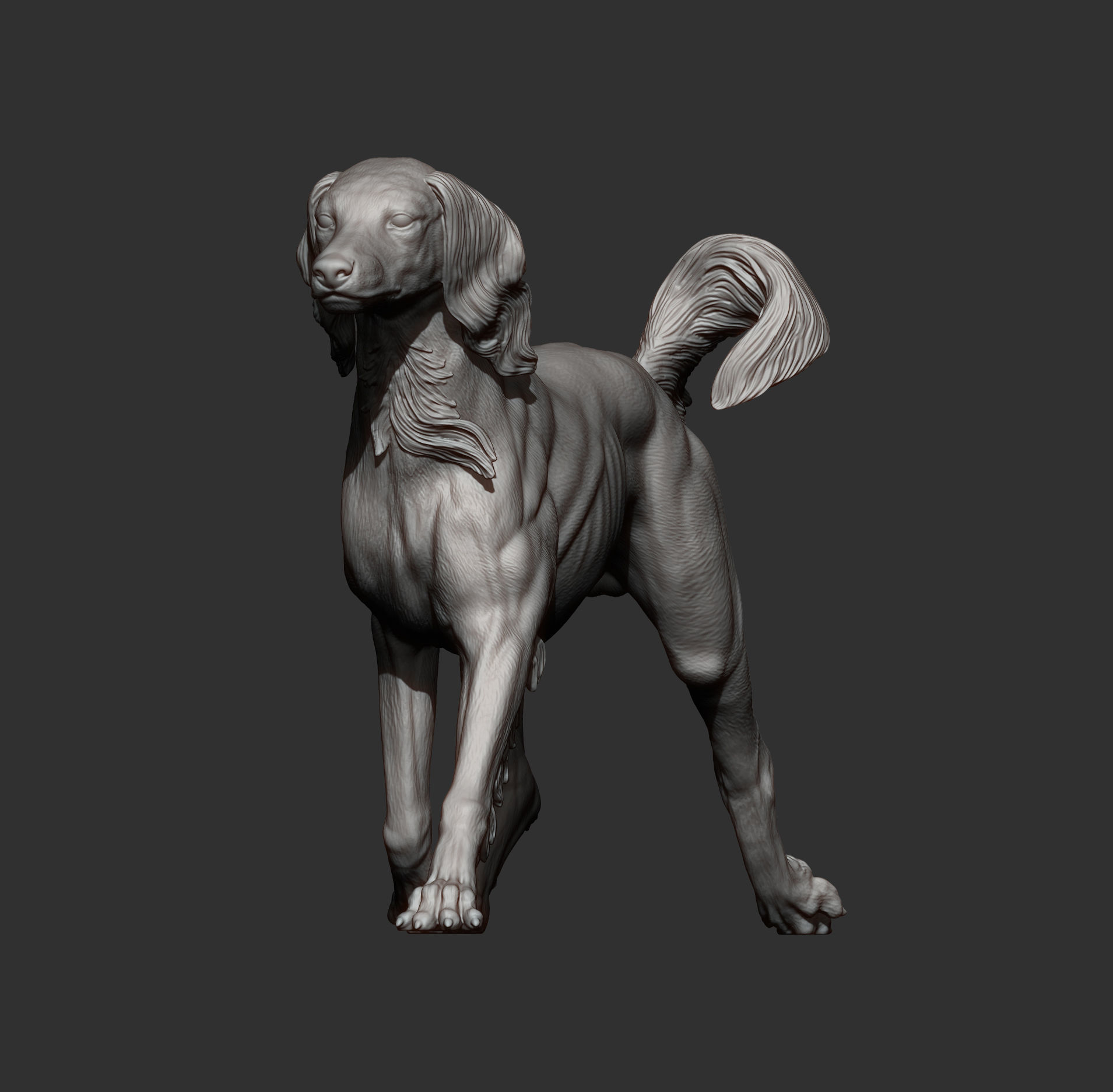saluki runs 3D print model_8