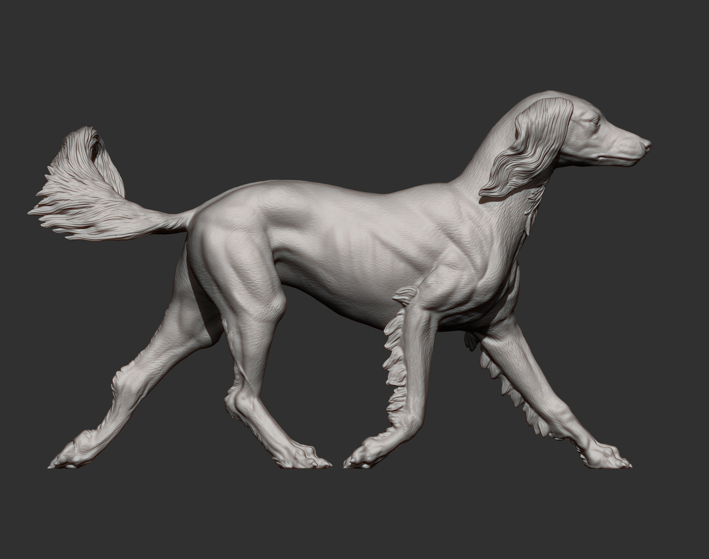 saluki runs 3D print model_12