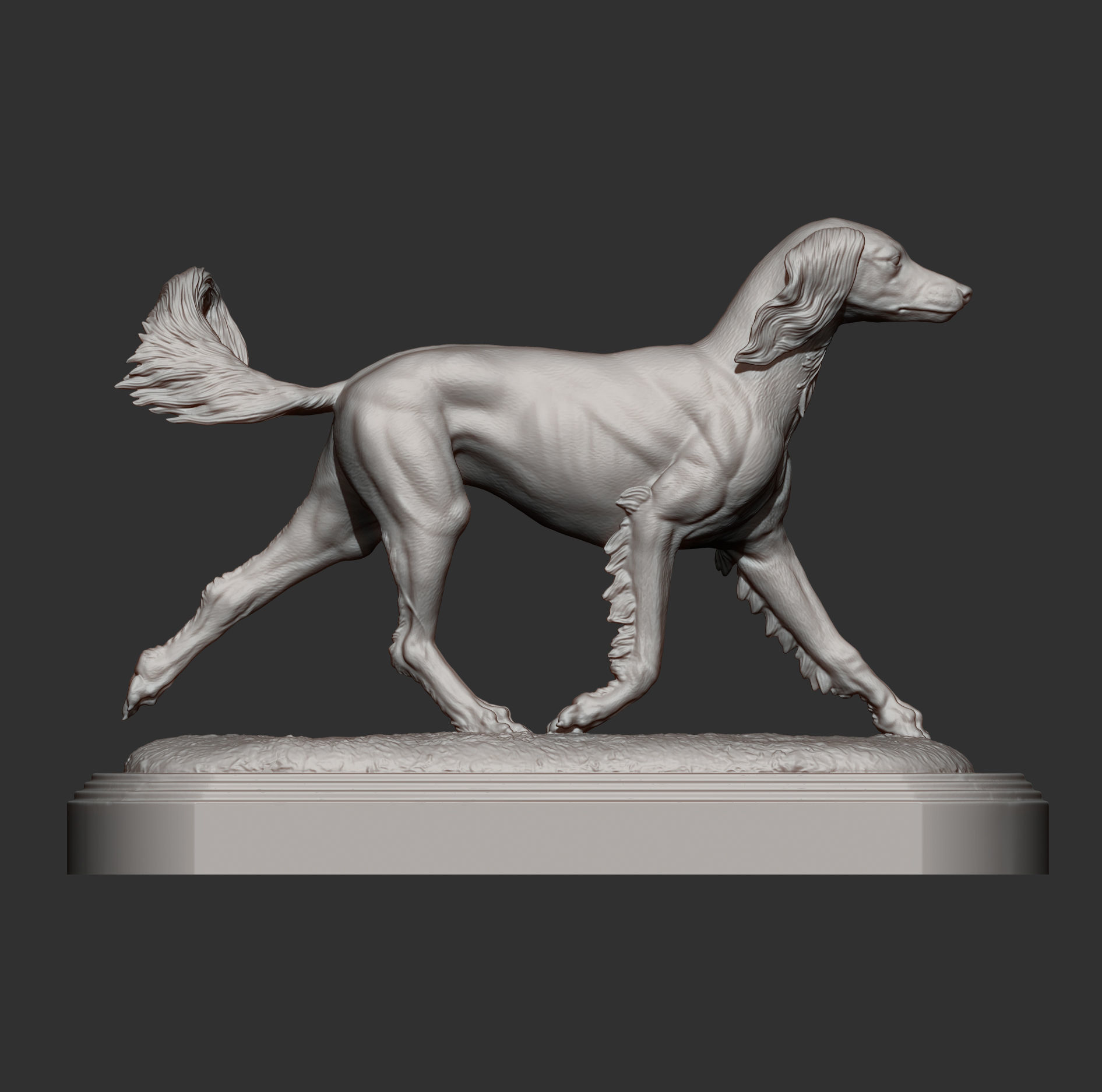 saluki runs 3D print model_14