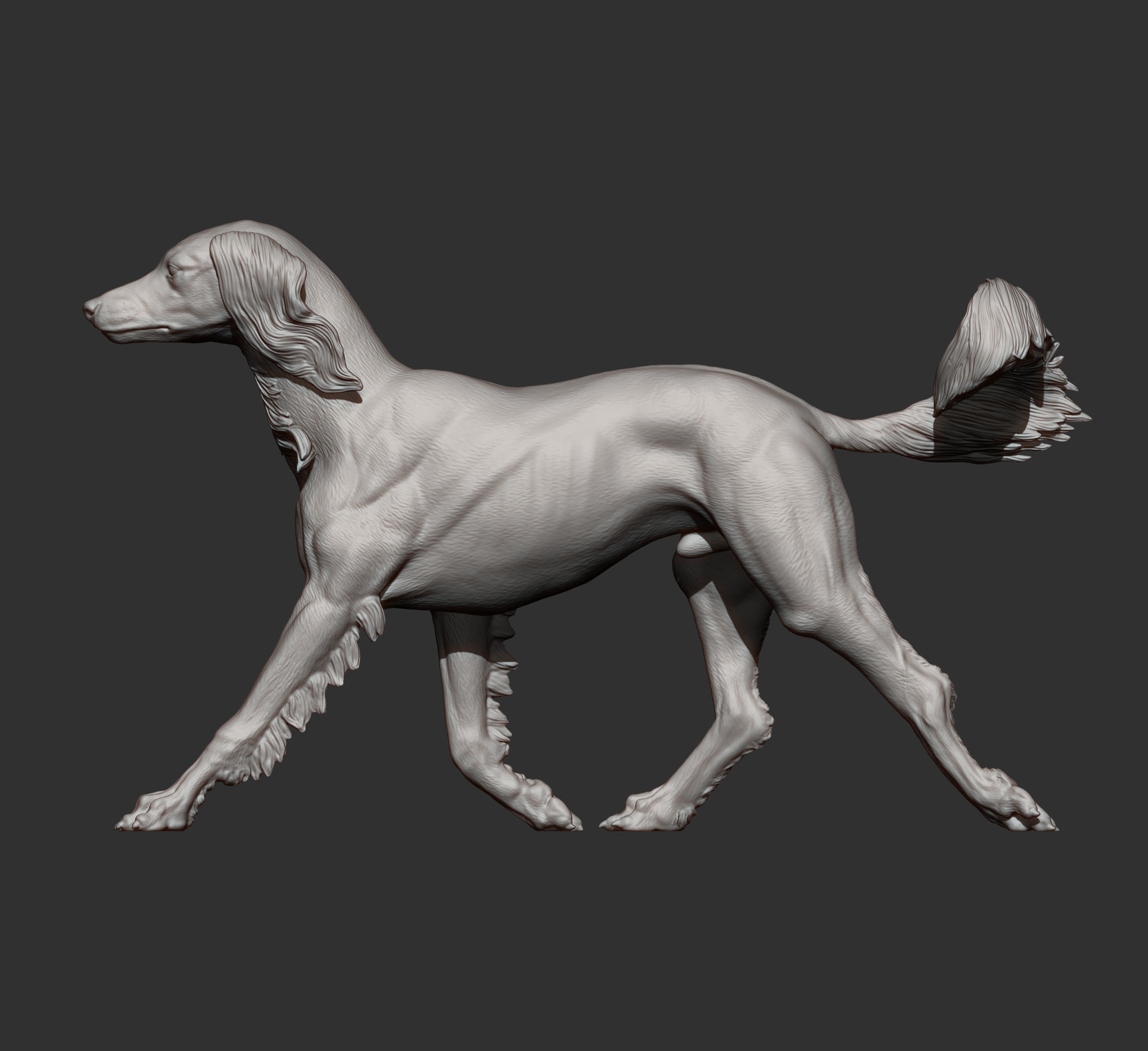 saluki runs 3D print model_9