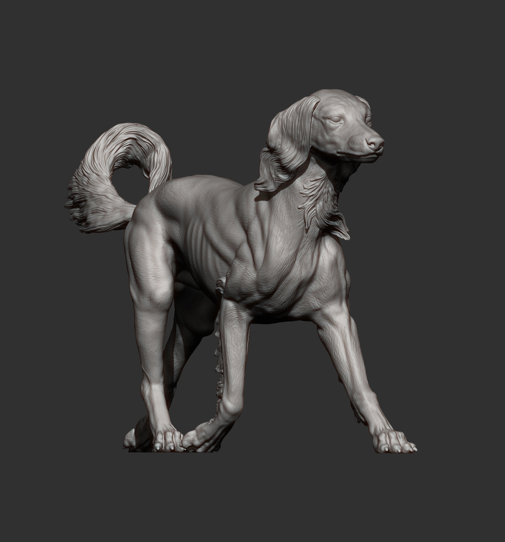 saluki runs 3D print model_7