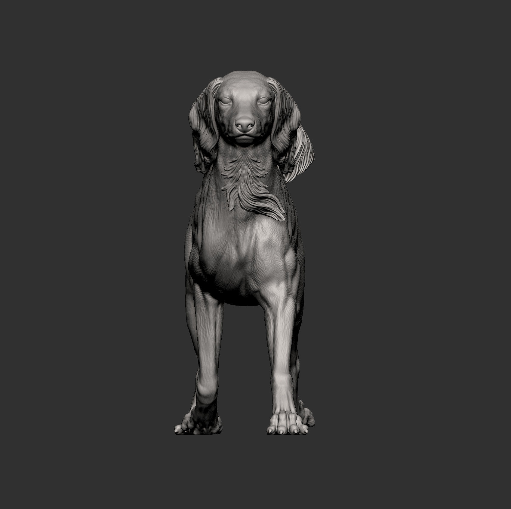 saluki runs 3D print model_10