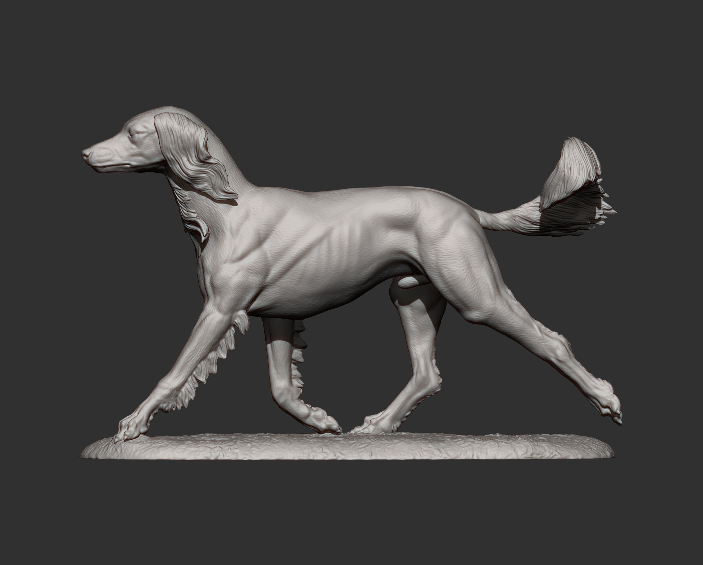saluki runs 3D print model_13