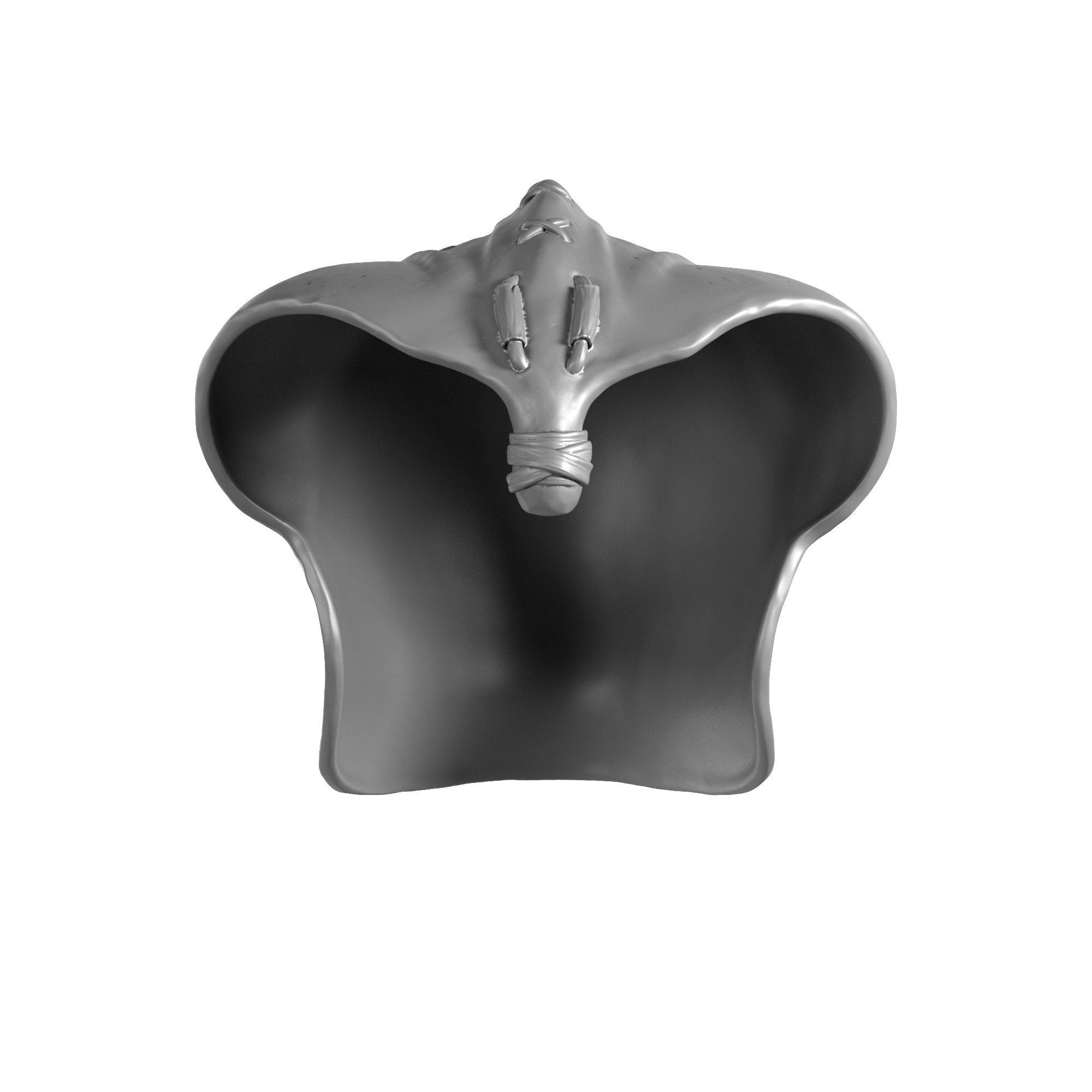 Nikto - Star Wars 3D print model_9