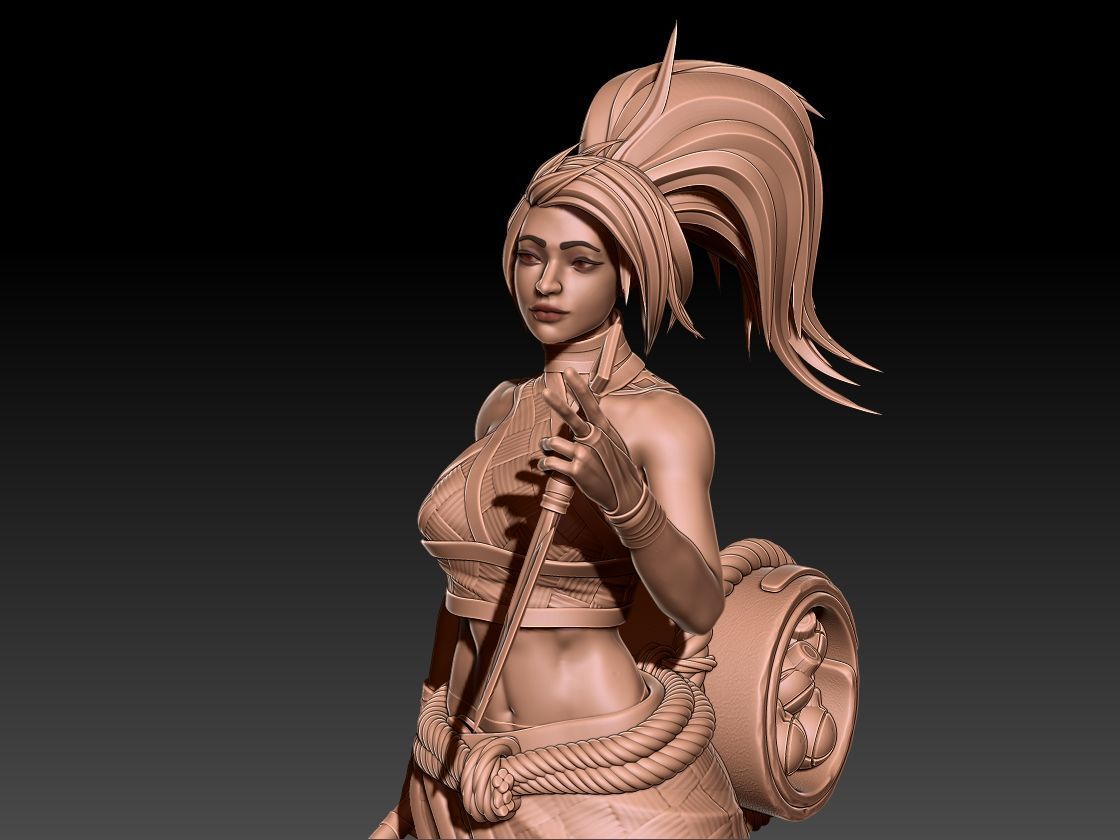 Akali 3D print model_4