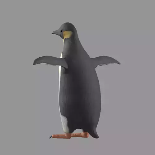 Penguin Model