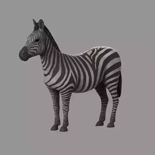 Zebra Model