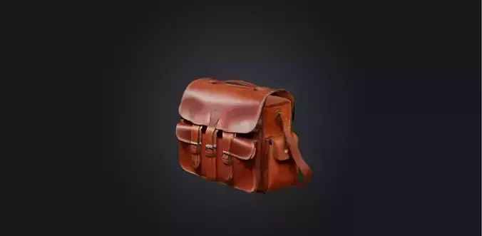 Saddle bag