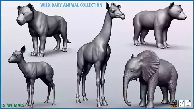 Wild Baby animal collection  5 animals