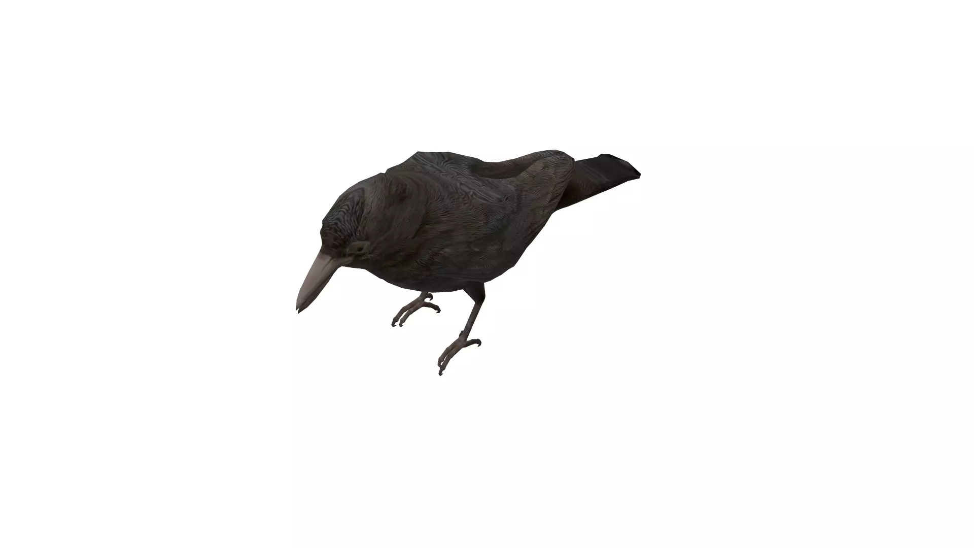 2 Animated Crow Low-poly 3D model_3