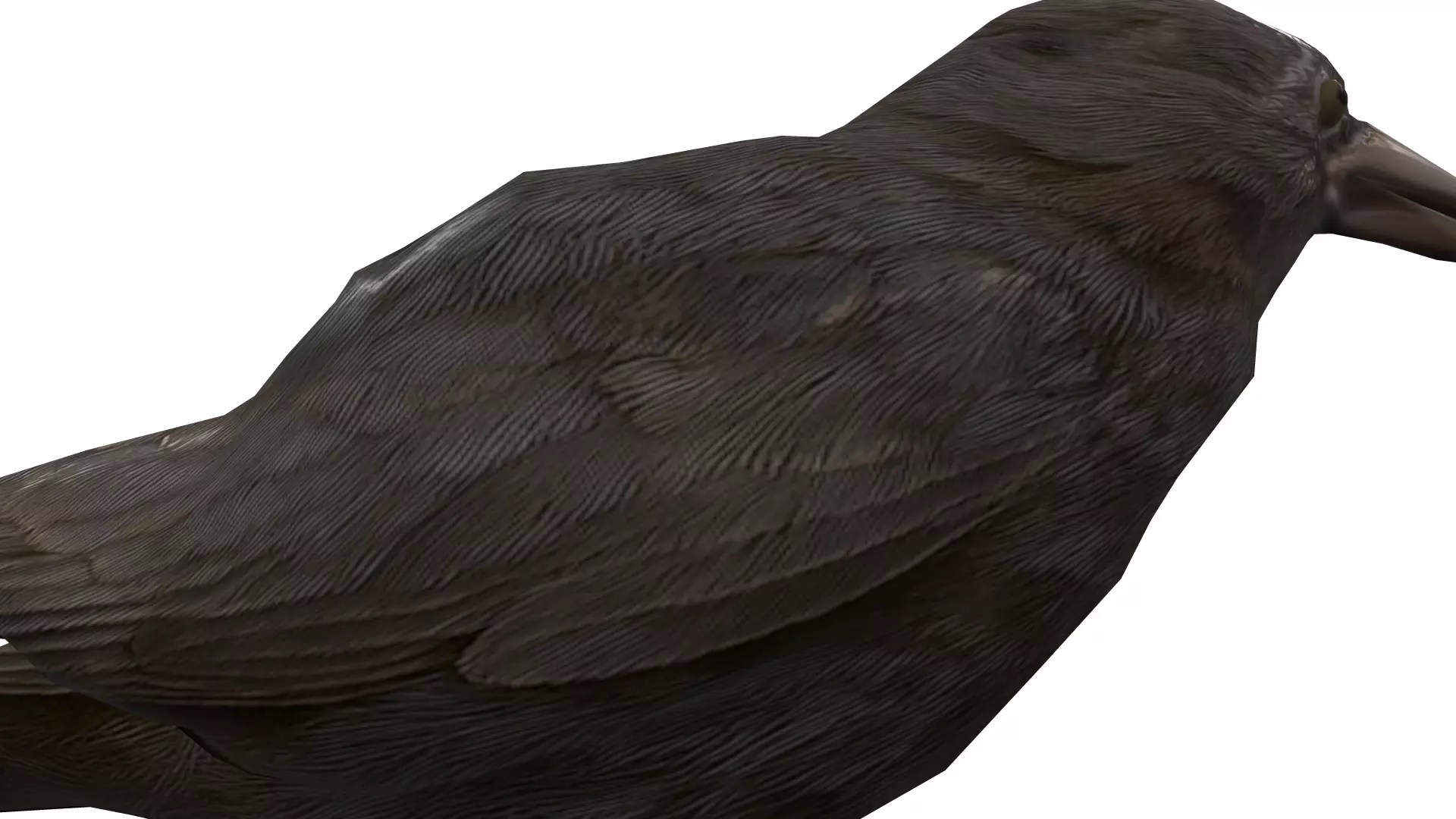 2 Animated Crow Low-poly 3D model_5