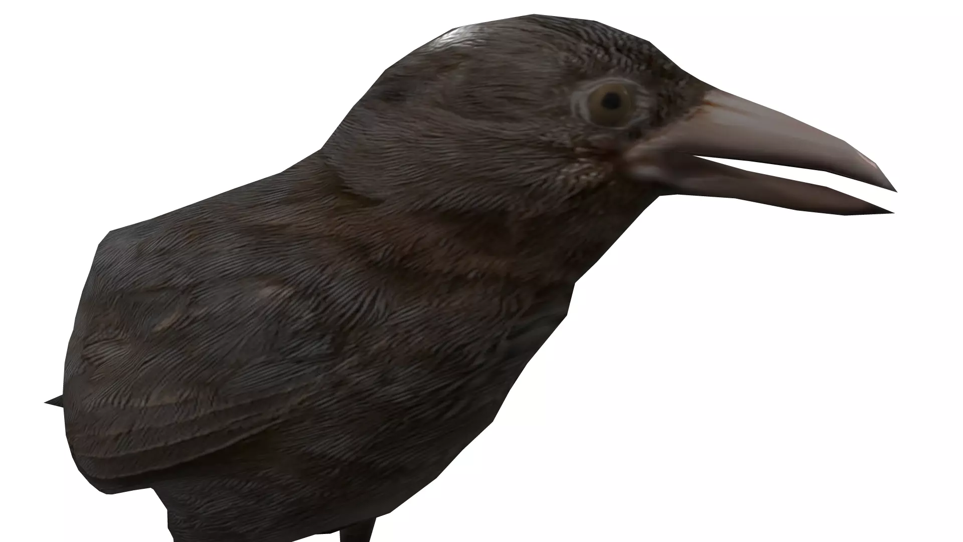 2 Animated Crow Low-poly 3D model_4
