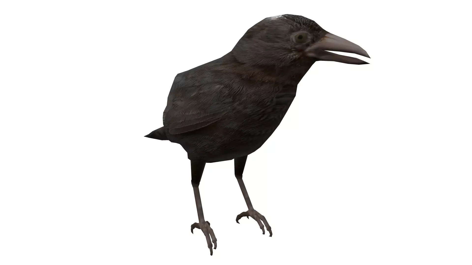 2 Animated Crow Low-poly 3D model_2
