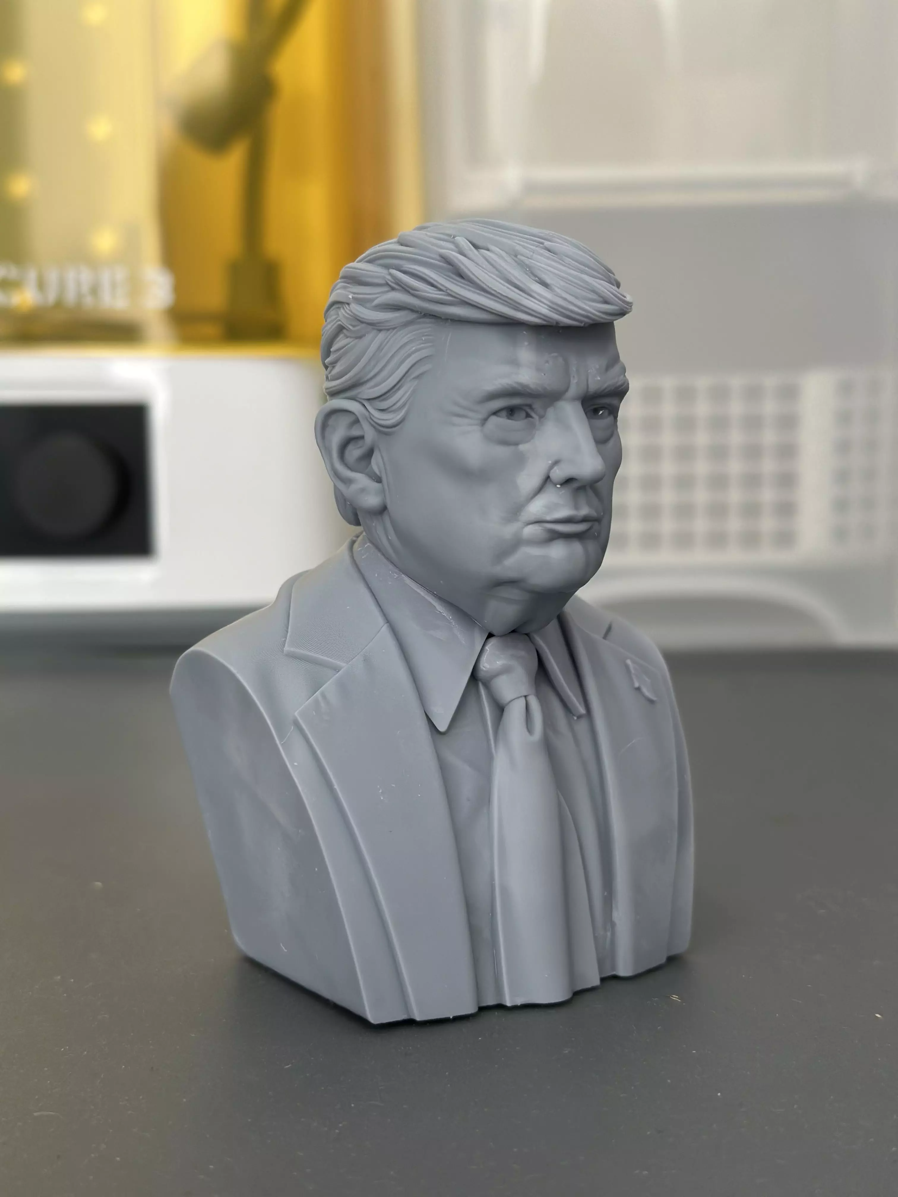 Donald Trump Bust 3D print model