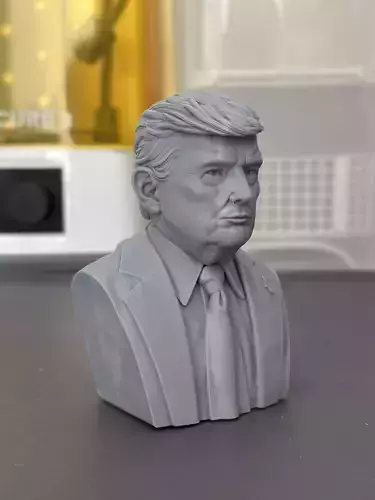 Donald Trump Bust 3D print model