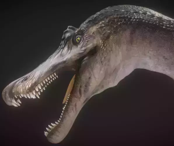 Baryonyx  Low-poly 3D model