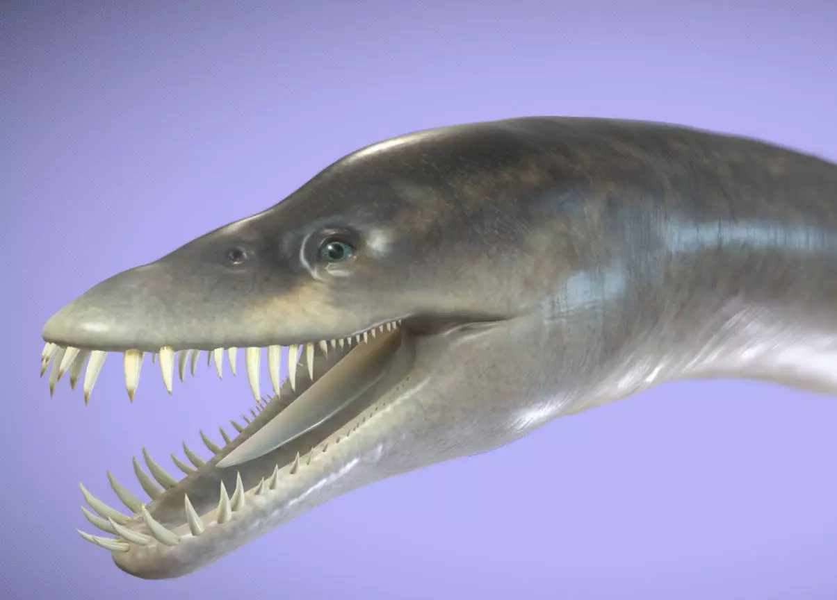 Elasmosaurus Low-poly 3D model_0