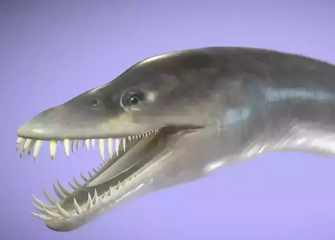 Elasmosaurus Low-poly 3D model