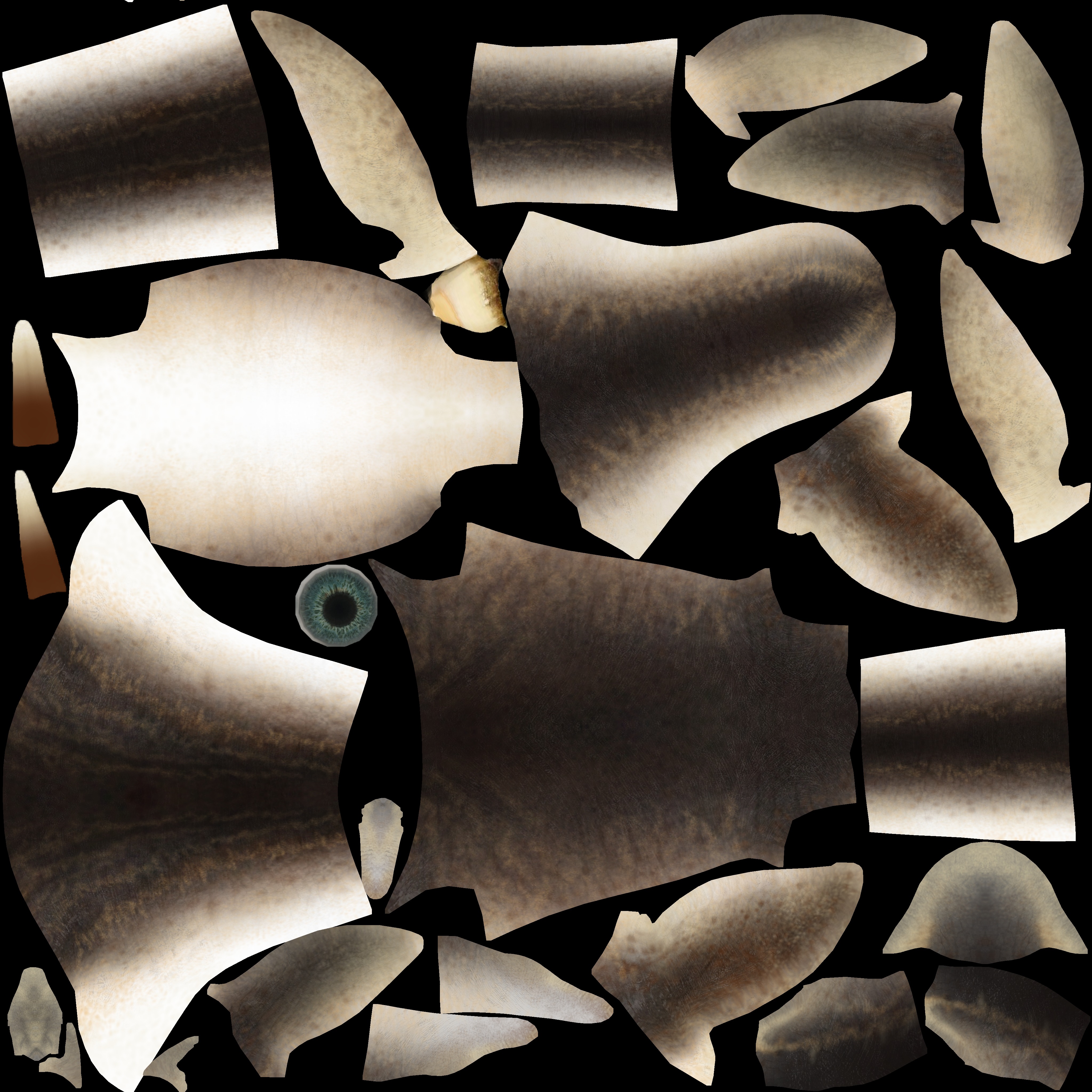 Elasmosaurus Low-poly 3D model_9