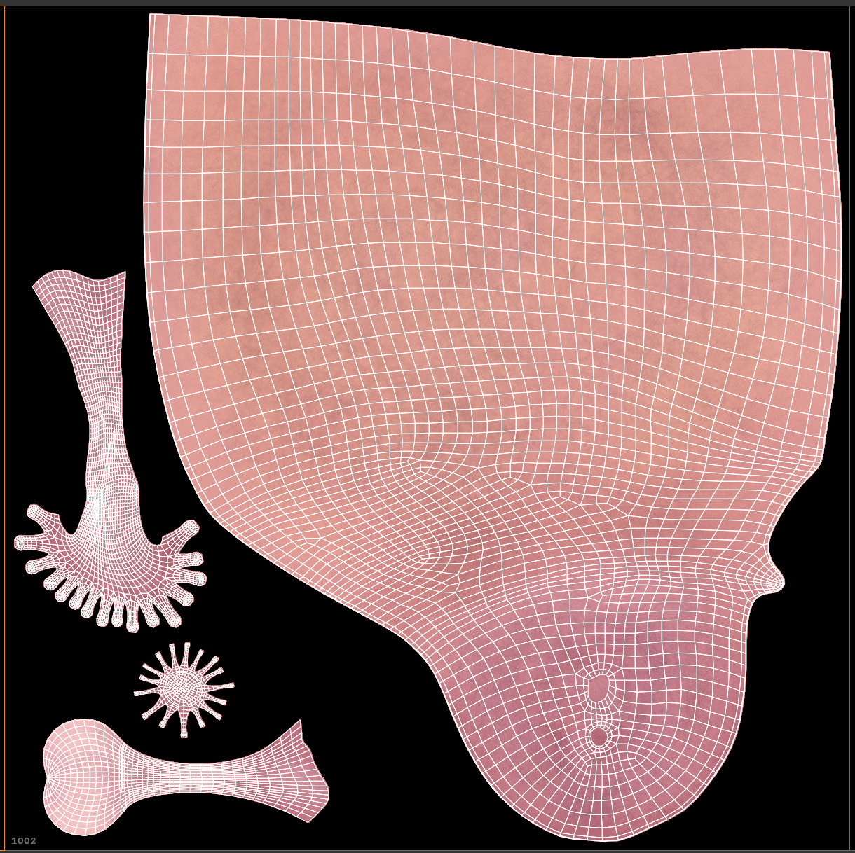 3D Female Reproductive System Section 3D model_10