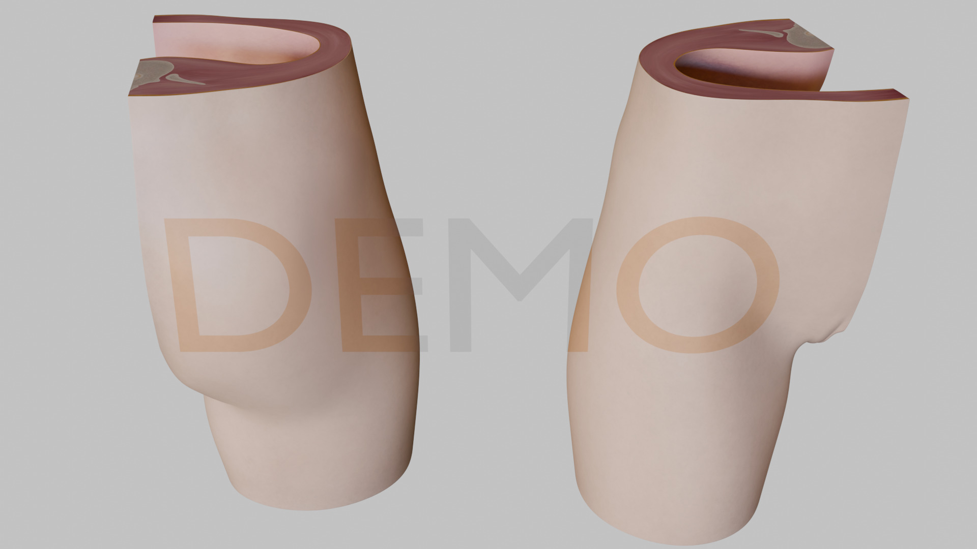 3D Female Reproductive System Section 3D model_8