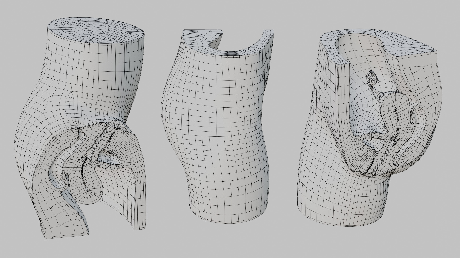 3D Female Reproductive System Section 3D model_16