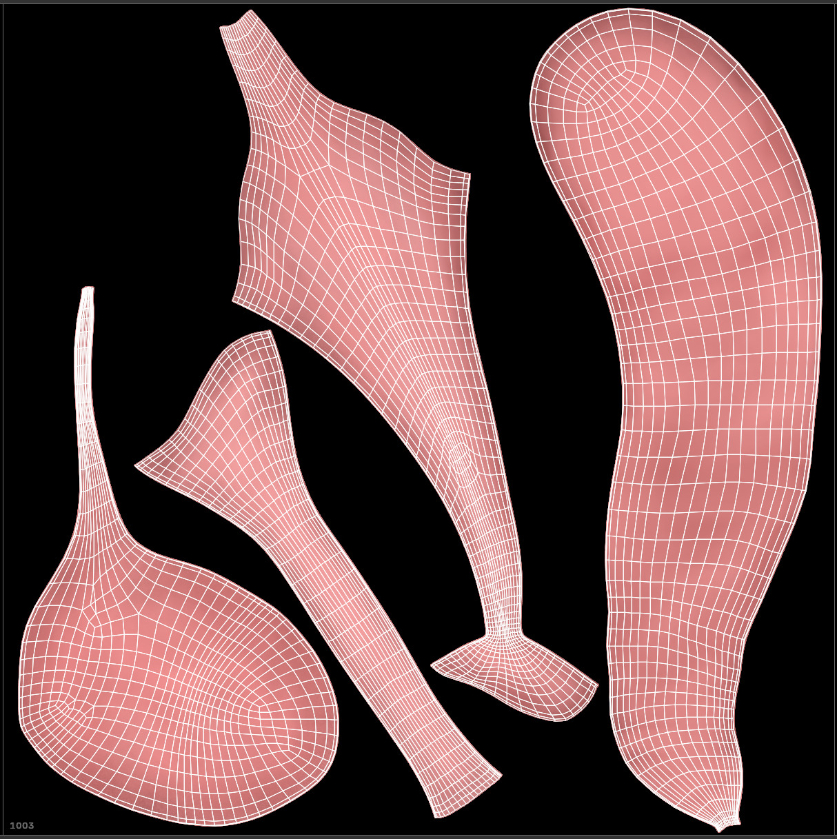 3D Female Reproductive System Section 3D model_11