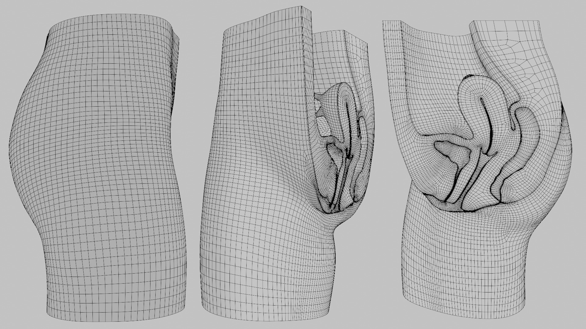 3D Female Reproductive System Section 3D model_15