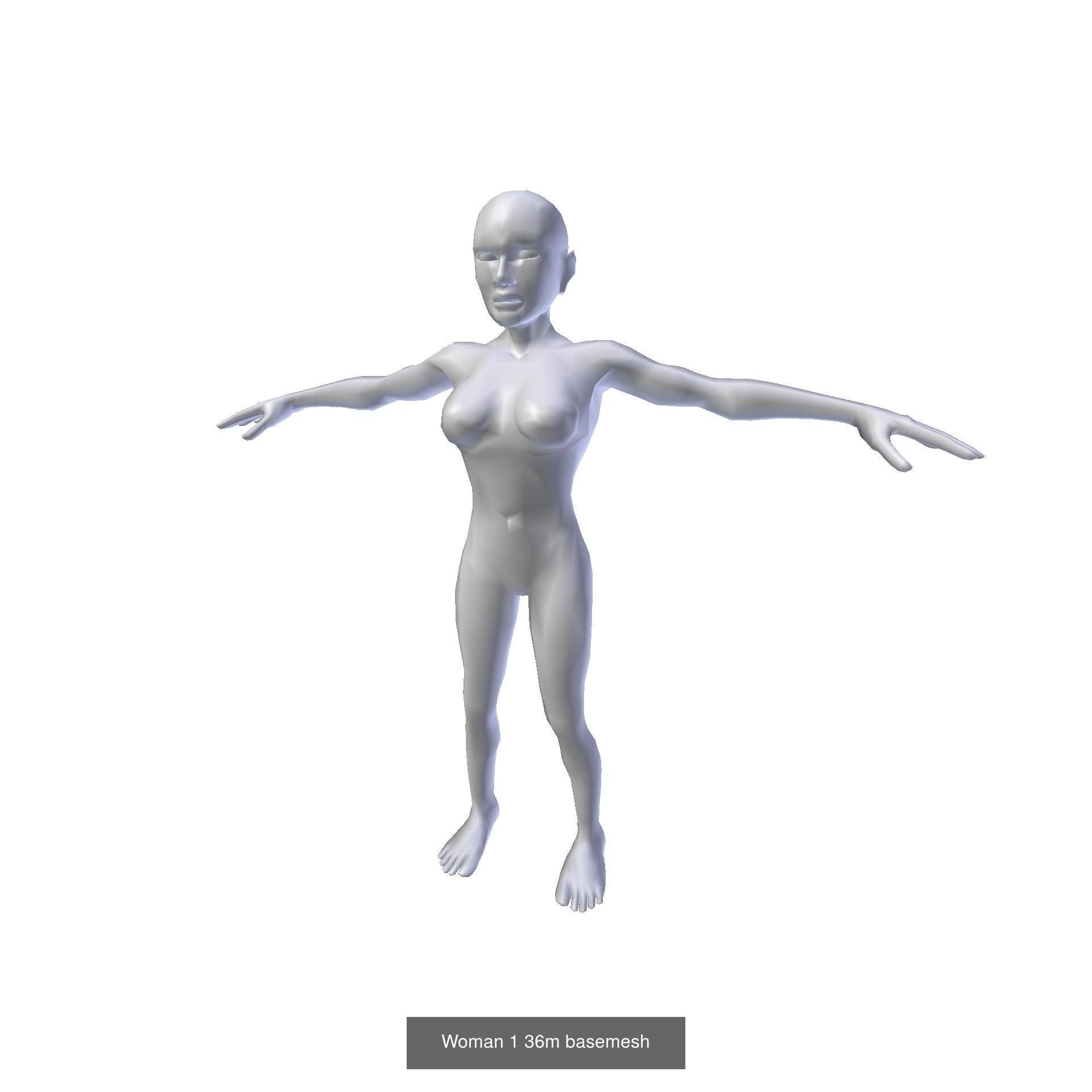 Female Basemesh Collection _6