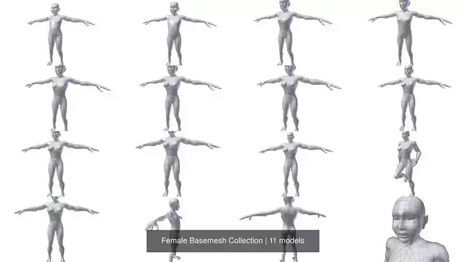 Female Basemesh Collection 