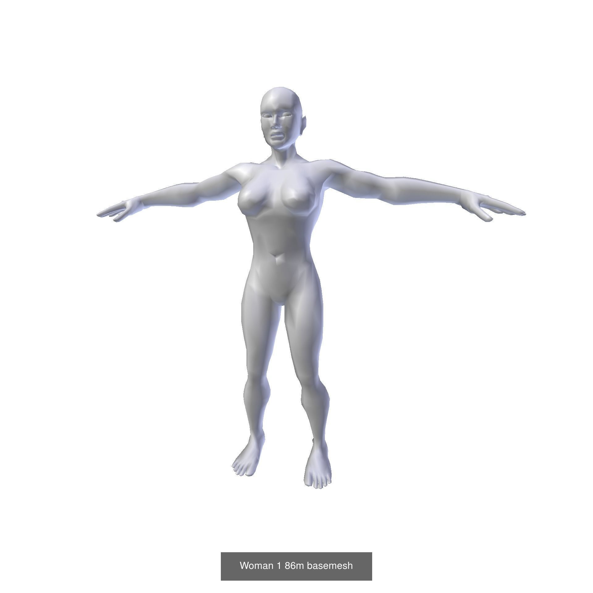 Female Basemesh Collection _10
