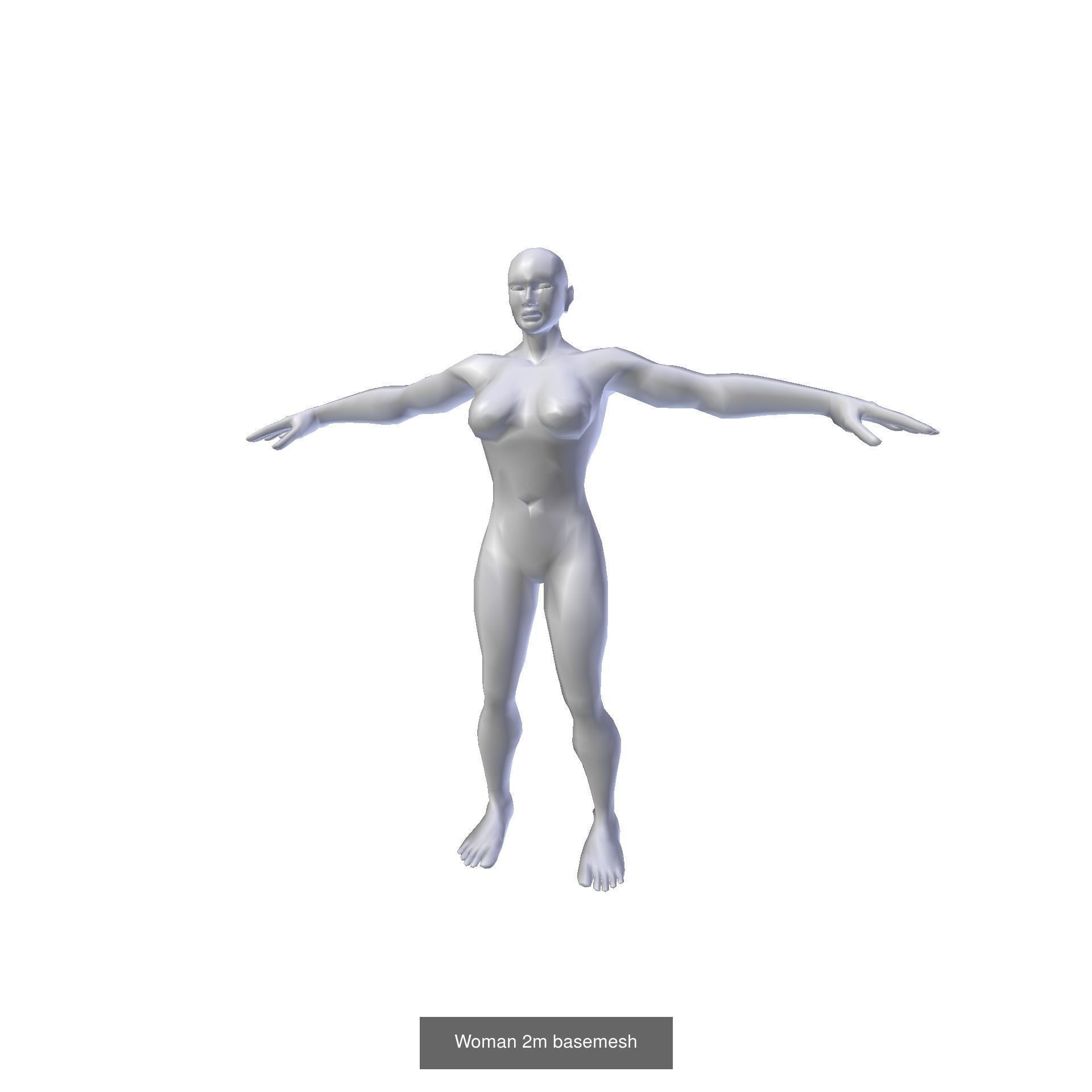 Female Basemesh Collection _11