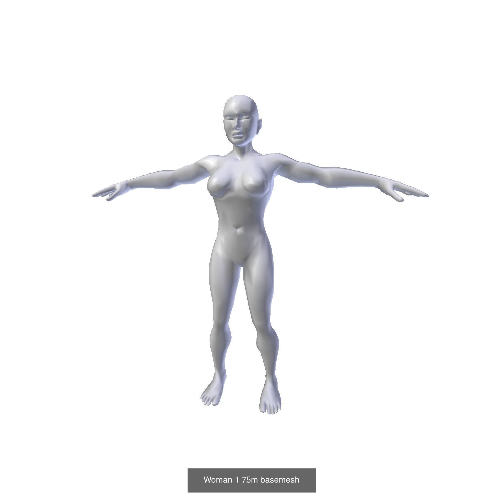 Female Basemesh Collection _9