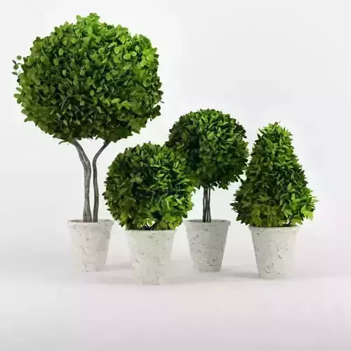 Flowers for Landscape